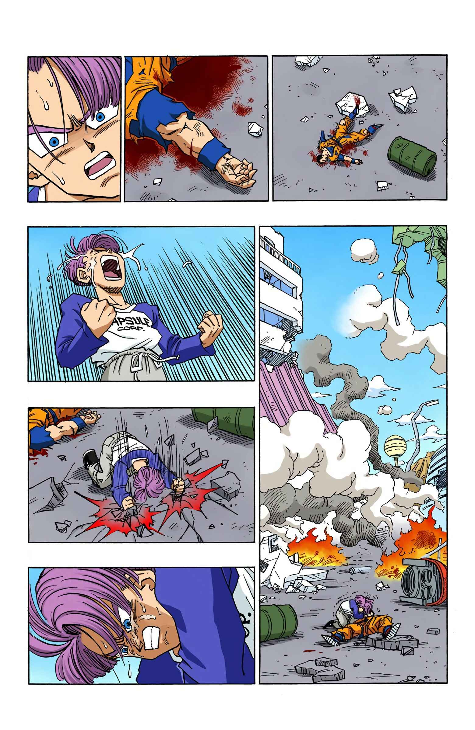 Dragon Ball (Official Colored) Chapter 397.5 - Page 13