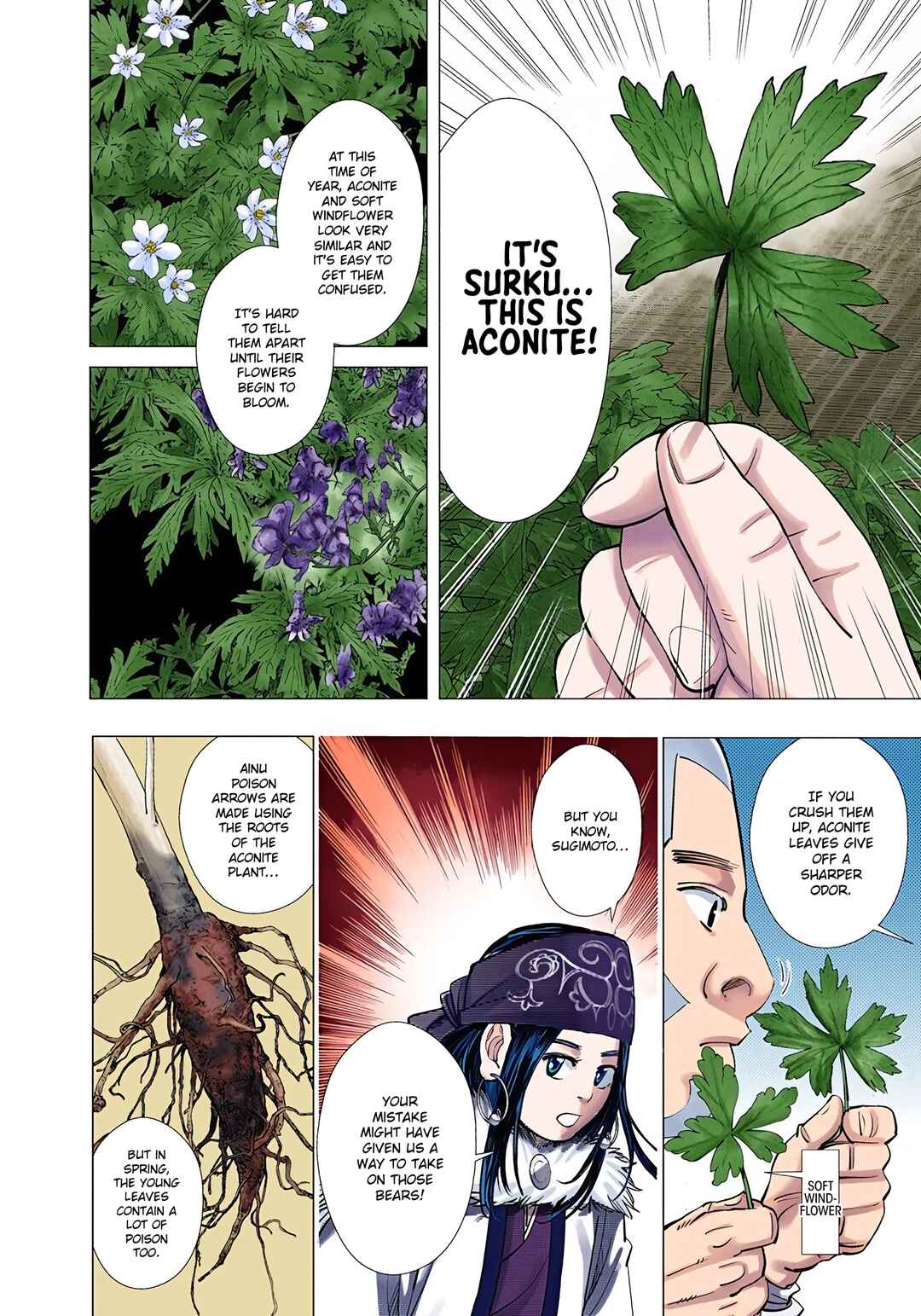 Golden Kamuy (Official Colored) Chapter 68 - Page 14