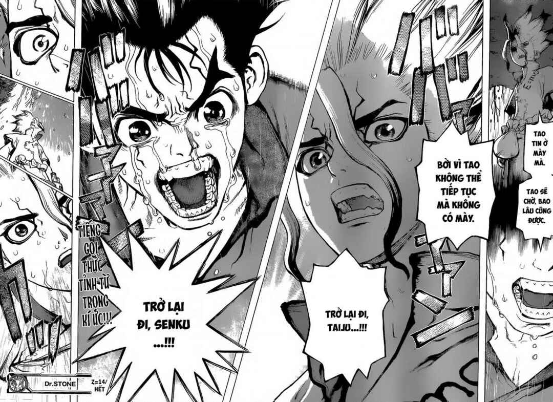Dr.STONE Chapter 14 - Page 17