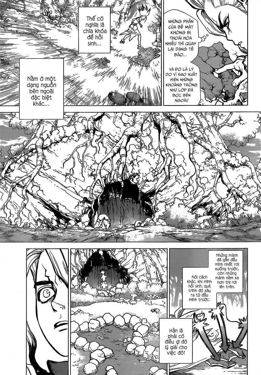 Dr.STONE Chapter 14 - Page 8