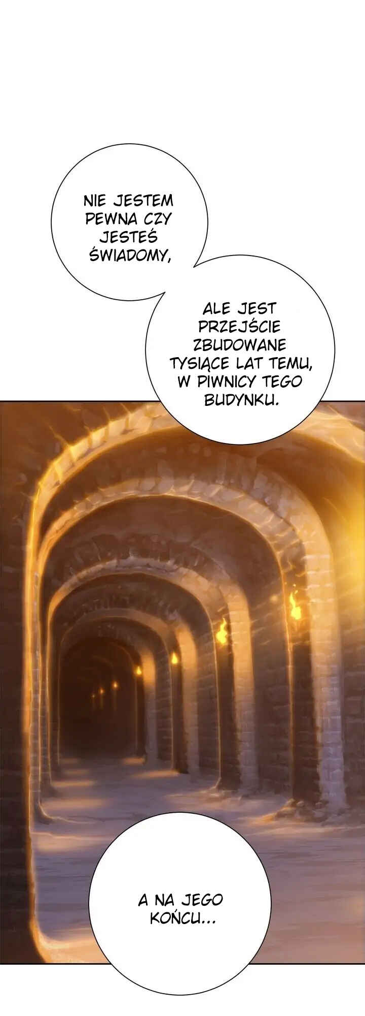 The Skeleton Soldier Failed to Defend the Dungeon Chapter 117 - Page 29