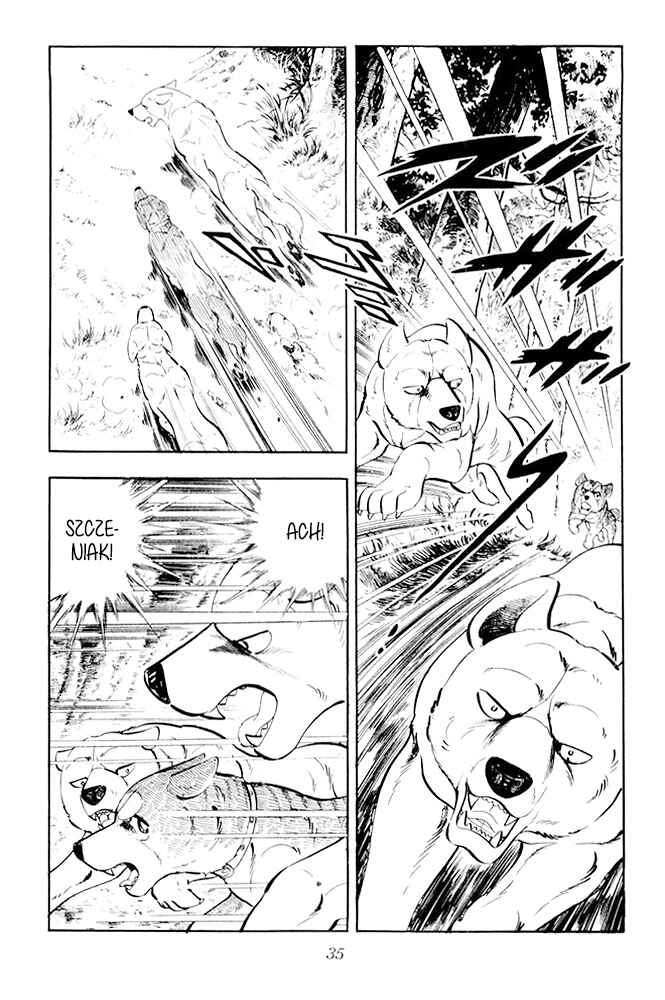 Silver Fang – The Shooting Star Gin – Chapter 21 - Page 31