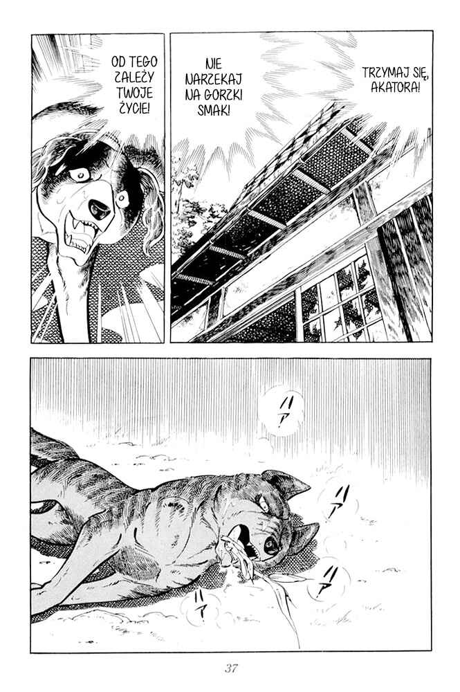 Silver Fang – The Shooting Star Gin – Chapter 21 - Page 33