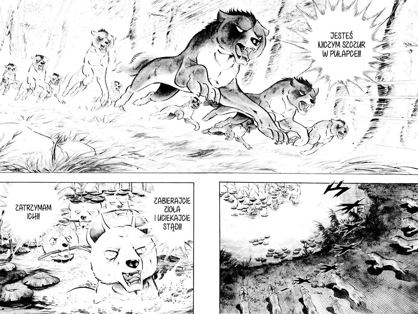Silver Fang – The Shooting Star Gin – Chapter 21 - Page 41