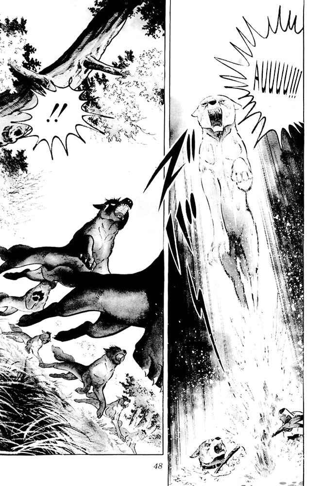 Silver Fang – The Shooting Star Gin – Chapter 21 - Page 42