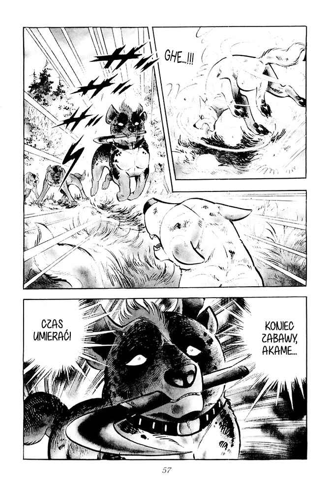 Silver Fang – The Shooting Star Gin – Chapter 21 - Page 51