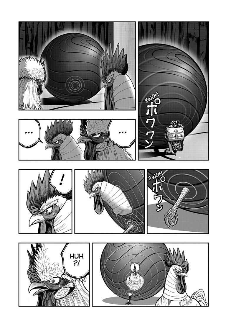 Niwatori Fighter Chapter 46 - Page 30