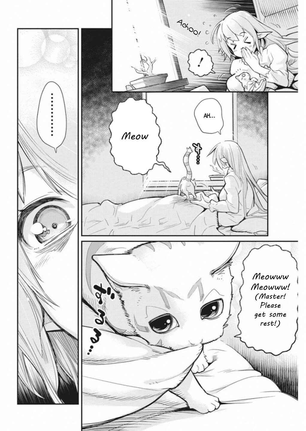S-Rank Monster no "Behemoth" dakedo, Neko to Machigawarete Elf Musume no Pet to Shite Kurashitemasu Chapter 16 - Page 13