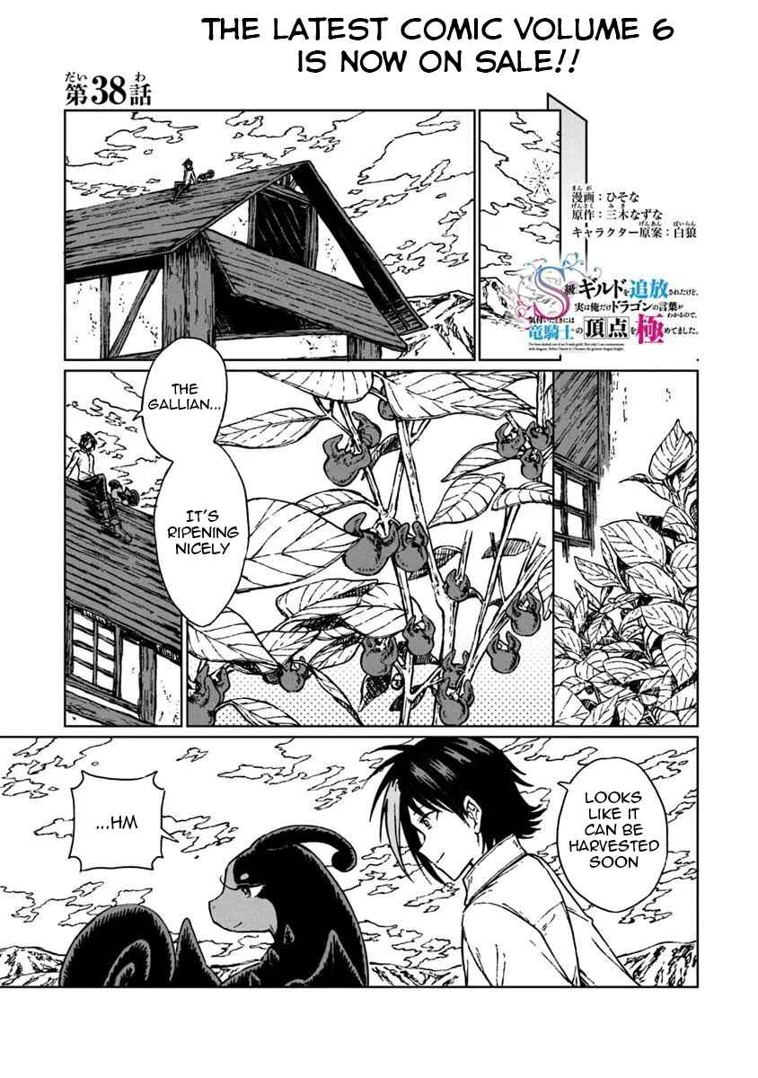 S-kyuu Guild wo Tsuihousareta kedo, Jitsu wa Ore dake Dragon no Kotoba ga Wakaru no de, Kidzuita Toki ni wa Ryuu Kishi no Chouten wo Kiwametemashita. Chapter 38 - Page 2