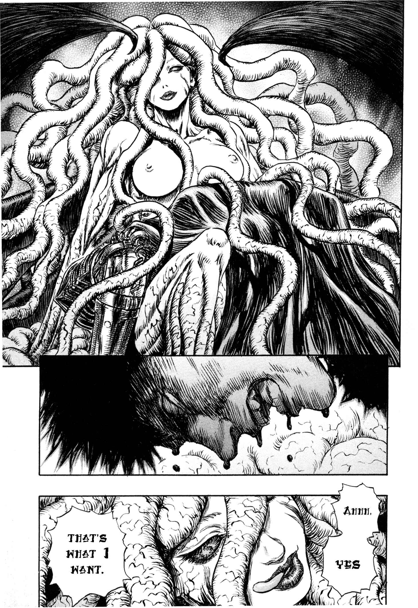Berserk Chapter 219 - Page 17