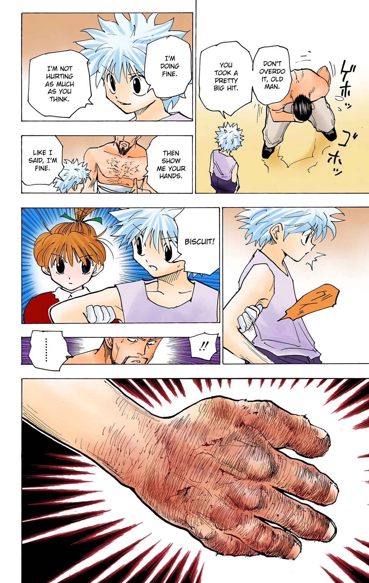 Hunter x Hunter (Official Colored) Chapter 166 - Page 8