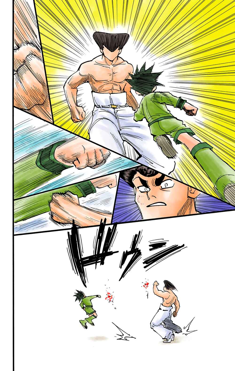 Hunter x Hunter (Official Colored) Chapter 211 - Page 10
