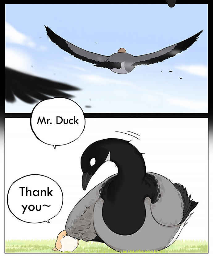 Southern Bird and Northern Bird Chapter 20 - Page 8