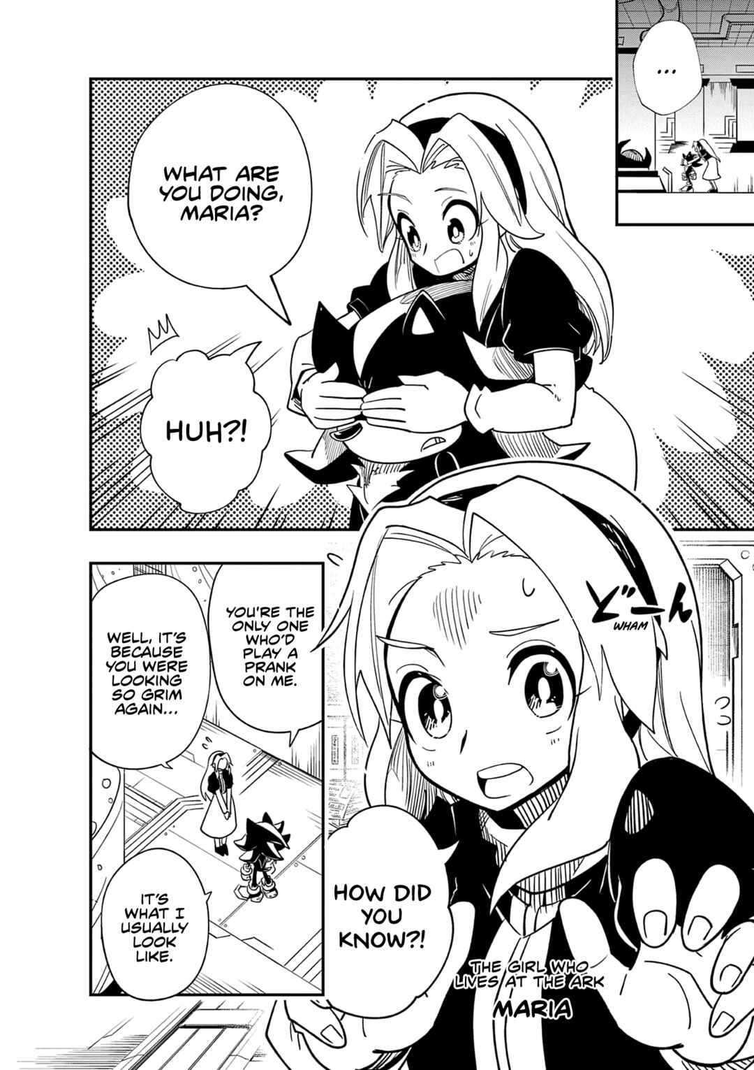 The Jet Black Hedgehog: Shadow the Hedgehog Chapter 1 - Page 12