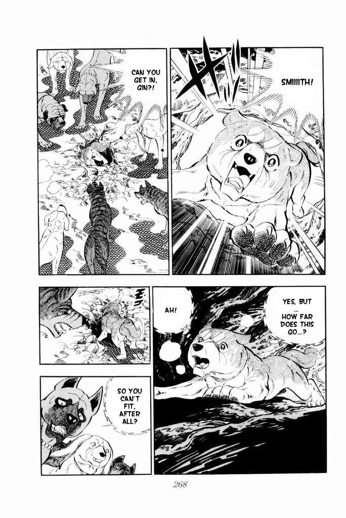 Silver Fang – The Shooting Star Gin – Chapter 20 - Page 3
