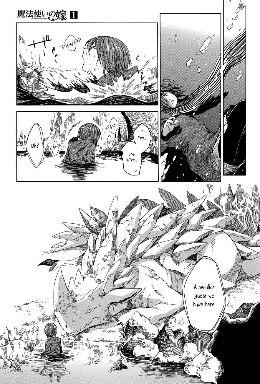 The Ancient Magus' Bride Chapter 3 - Page 17