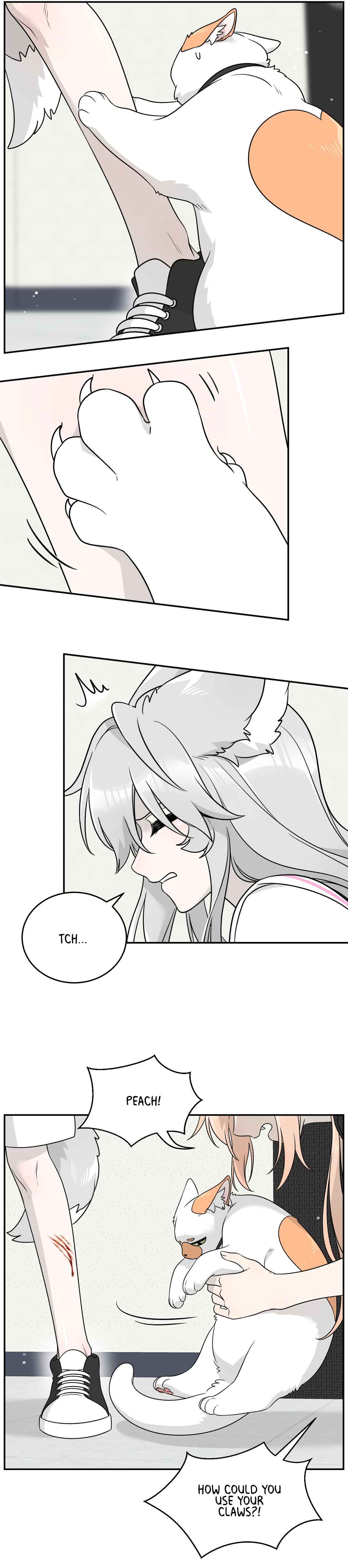 Wǒ de shíwù kàn qǐlái hěn kě'ài' Chapter 145 - Page 12
