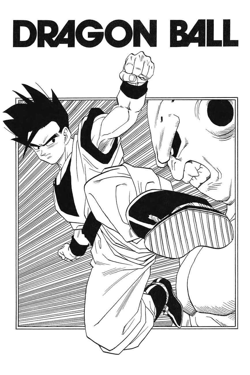 Dragon Ball Chapter 497 - Page 2
