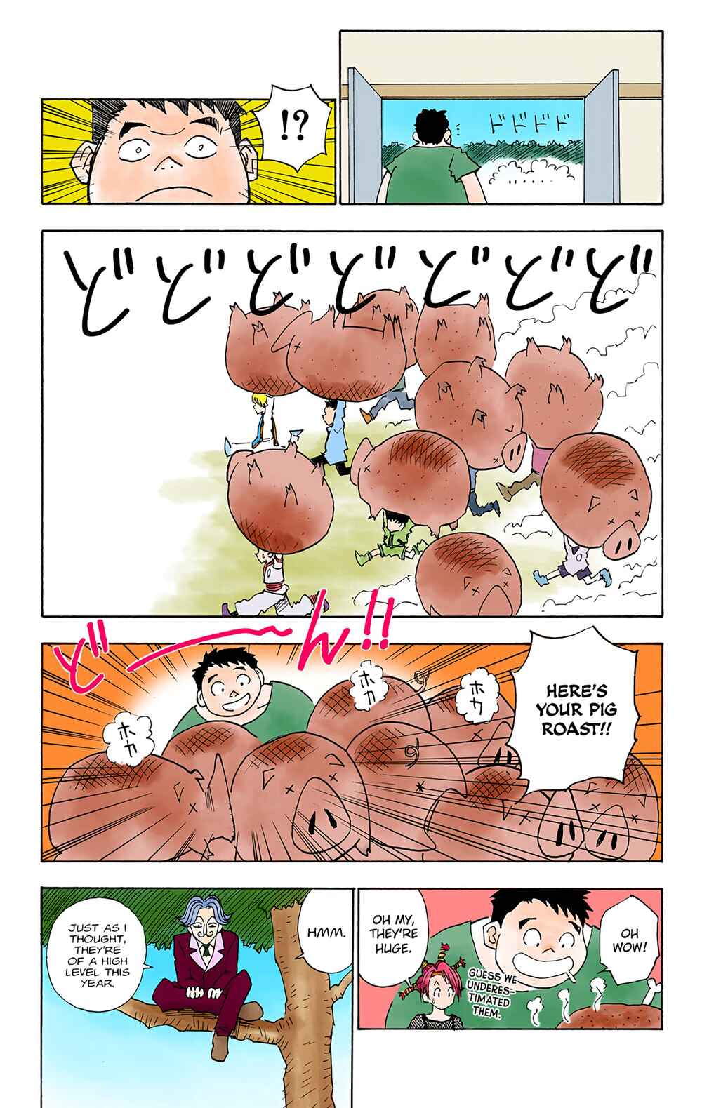 Hunter x Hunter (Official Colored) Chapter 10 - Page 19