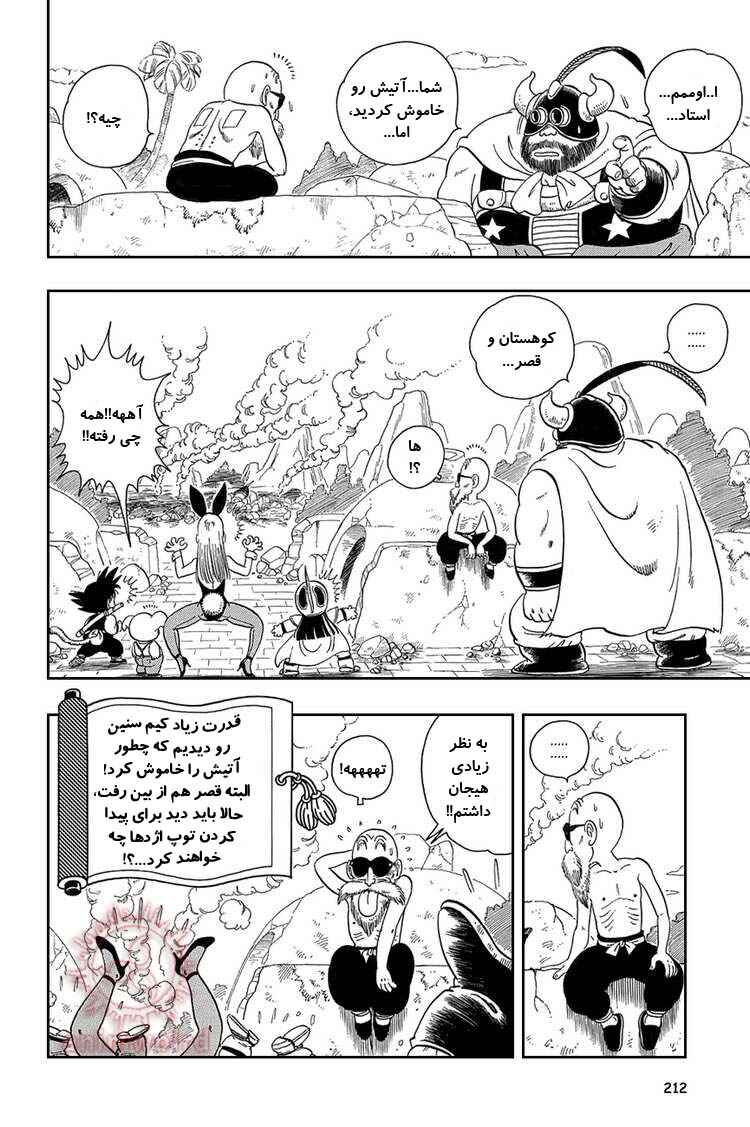 Dragon Ball Chapter 14 - Page 12