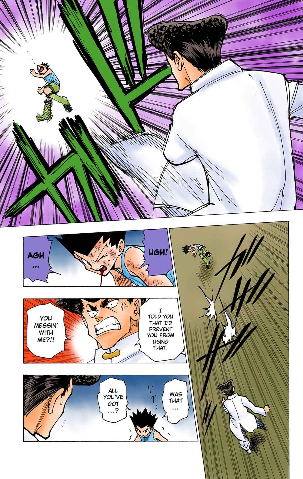 Hunter x Hunter (Official Colored) Chapter 207 - Page 13