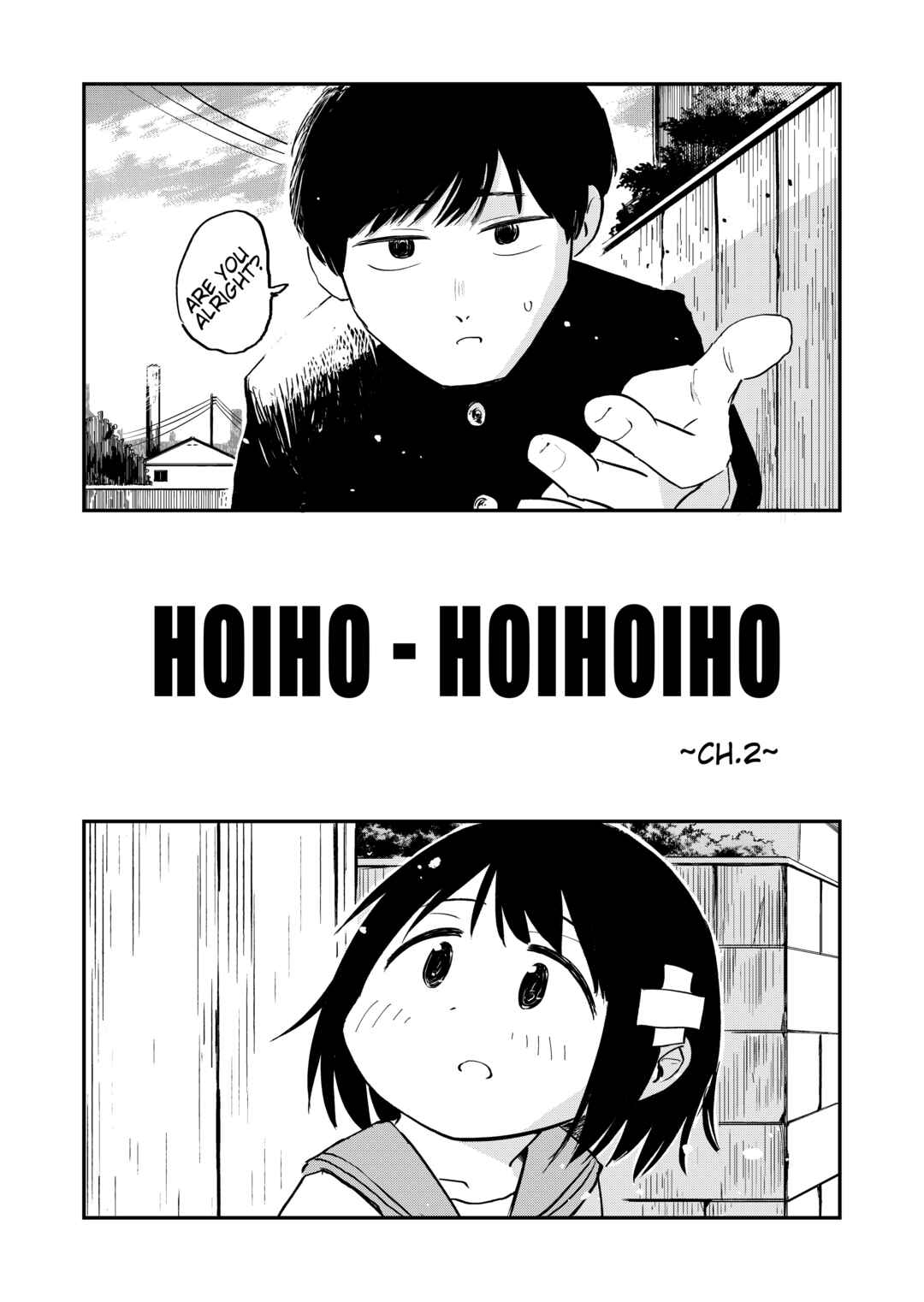 Hoiho Hoihoiho Chapter 2 - Page 3