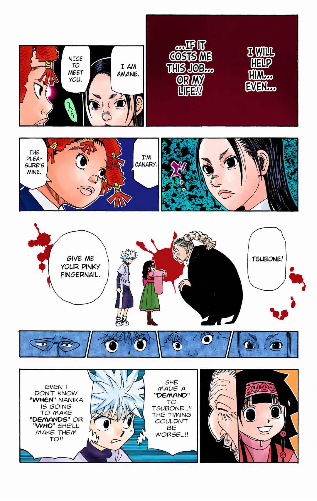 Hunter x Hunter (Official Colored) Chapter 324 - Page 17