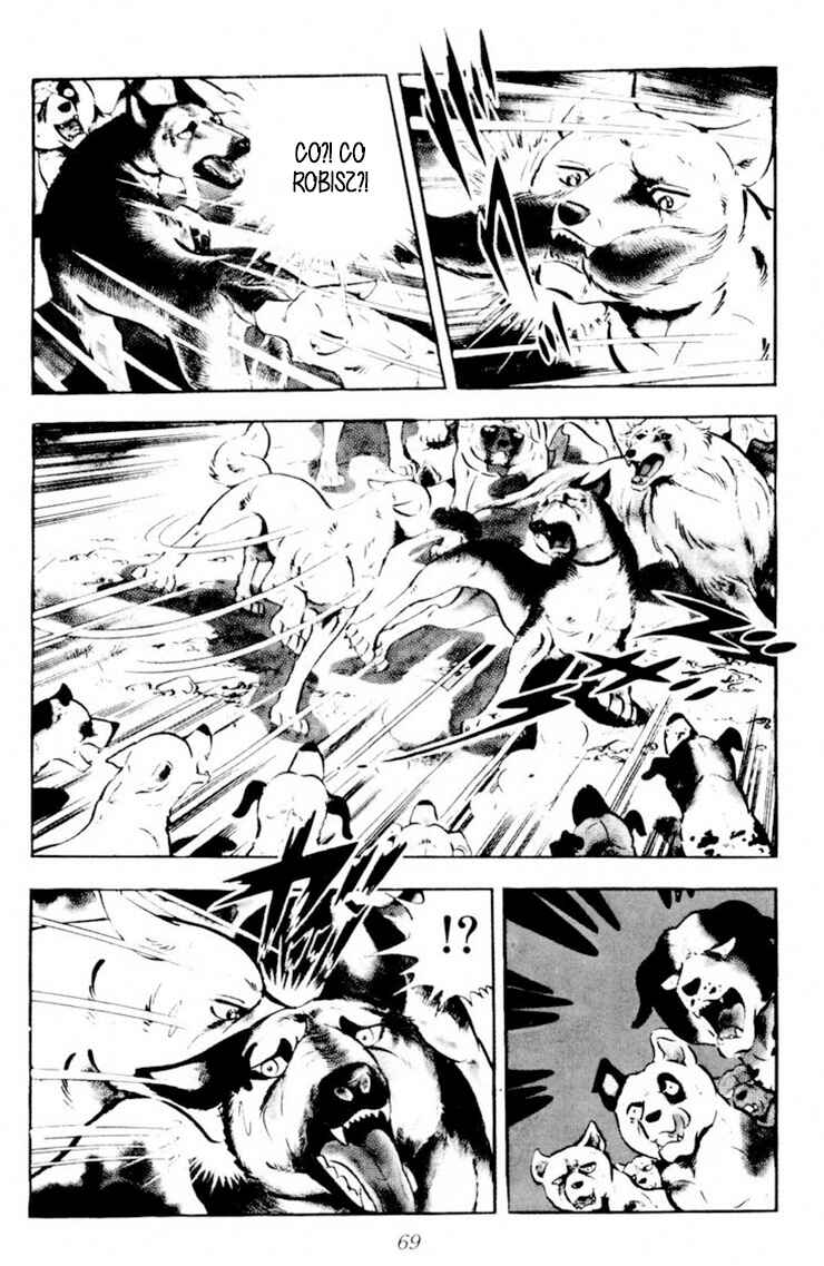 Silver Fang – The Shooting Star Gin – Chapter 26.2 - Page 16