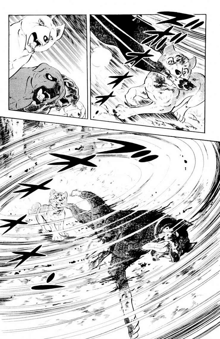Silver Fang – The Shooting Star Gin – Chapter 26.2 - Page 38