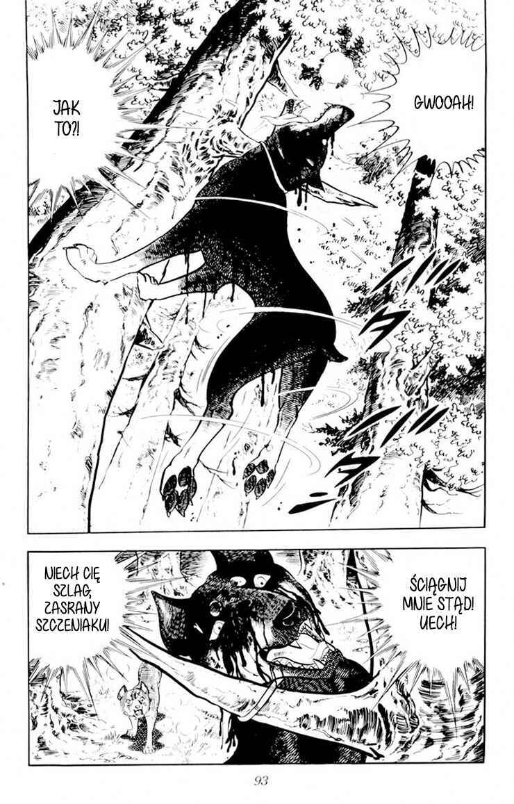 Silver Fang – The Shooting Star Gin – Chapter 26.2 - Page 40