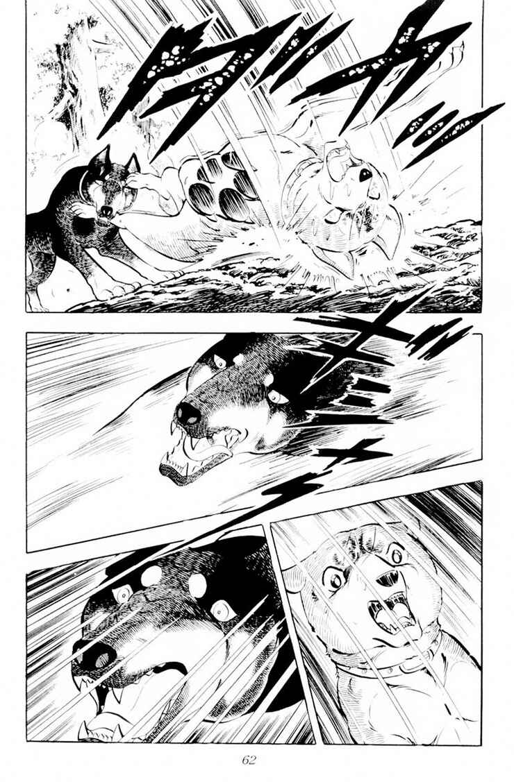 Silver Fang – The Shooting Star Gin – Chapter 26.2 - Page 9