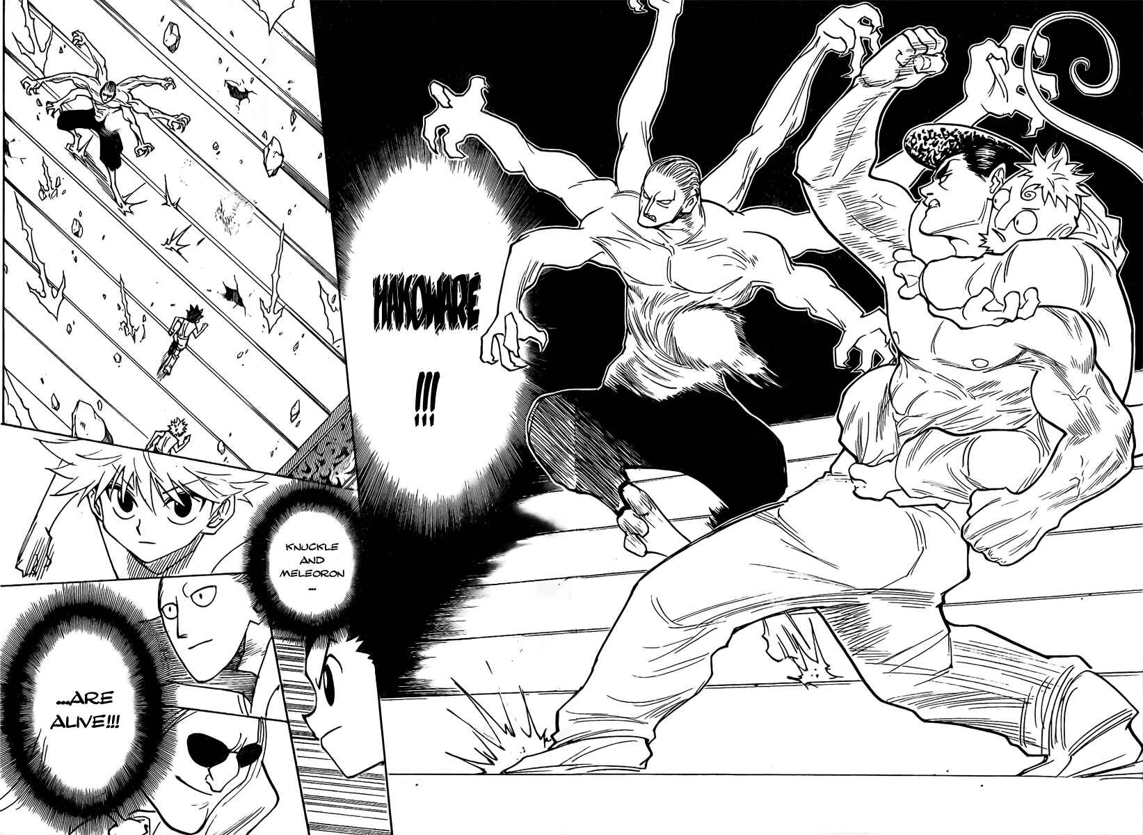 Hunter x Hunter Chapter 266 - Page 15