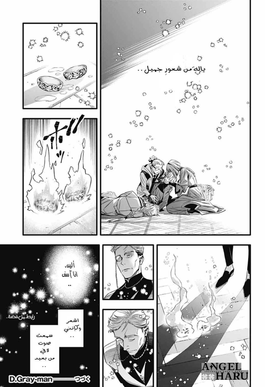 D.Gray-man Chapter 255 - Page 24