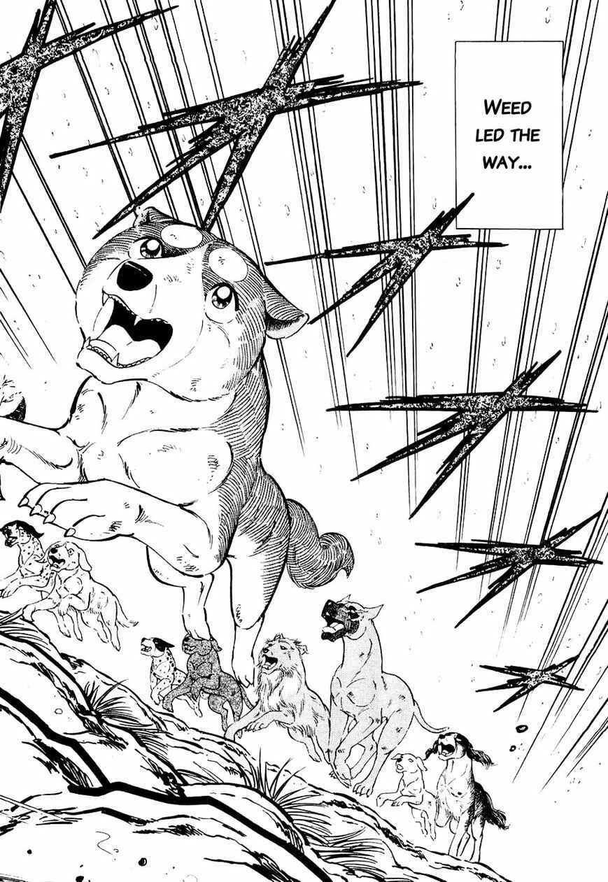 Ginga Densetsu Weed Chapter 29 - Page 15