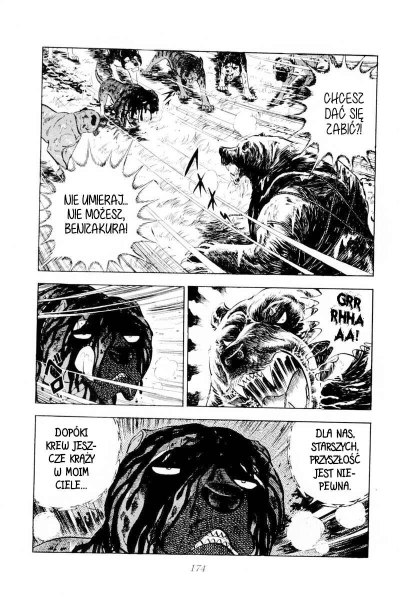 Silver Fang – The Shooting Star Gin – Chapter 39 - Page 32