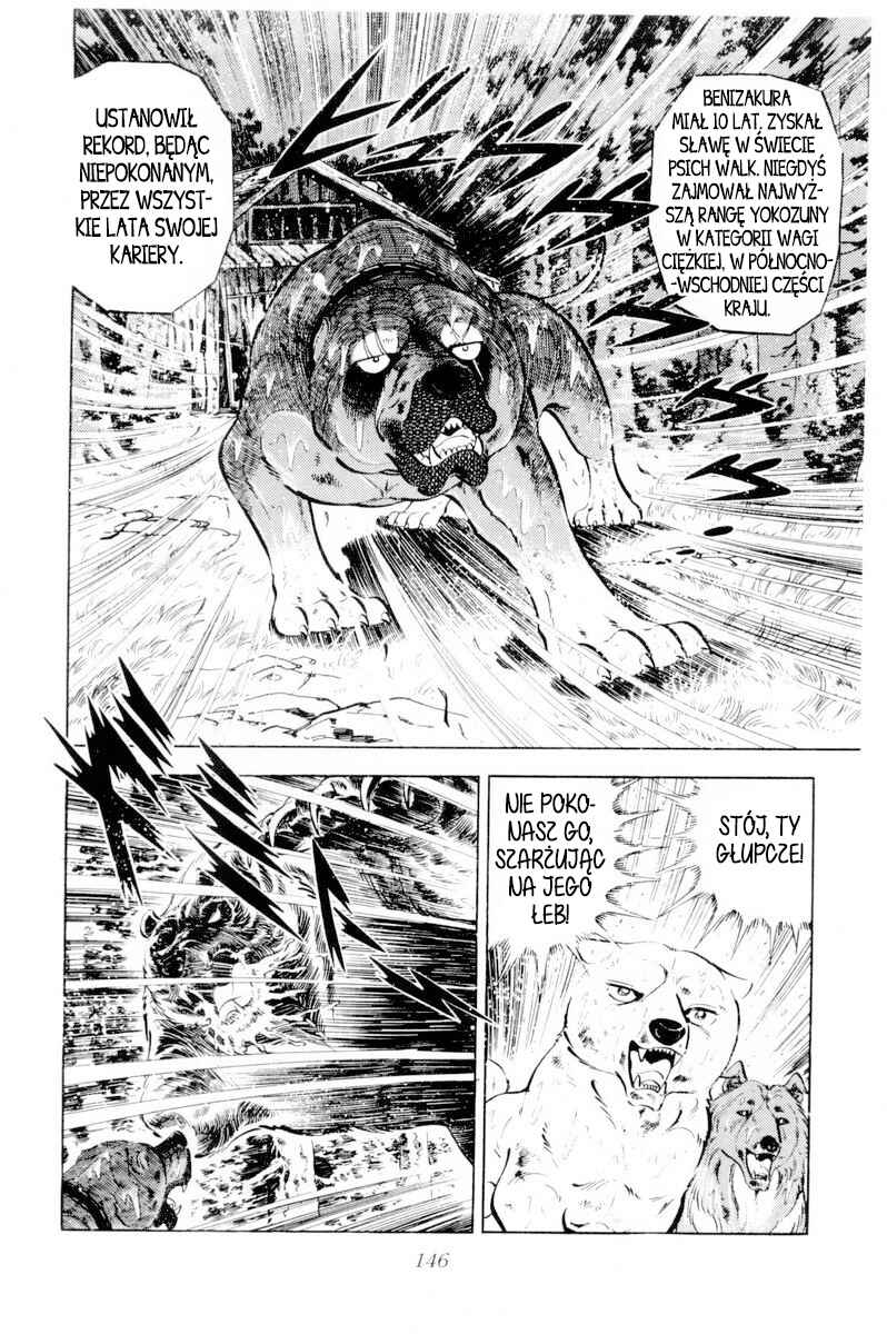 Silver Fang – The Shooting Star Gin – Chapter 39 - Page 4