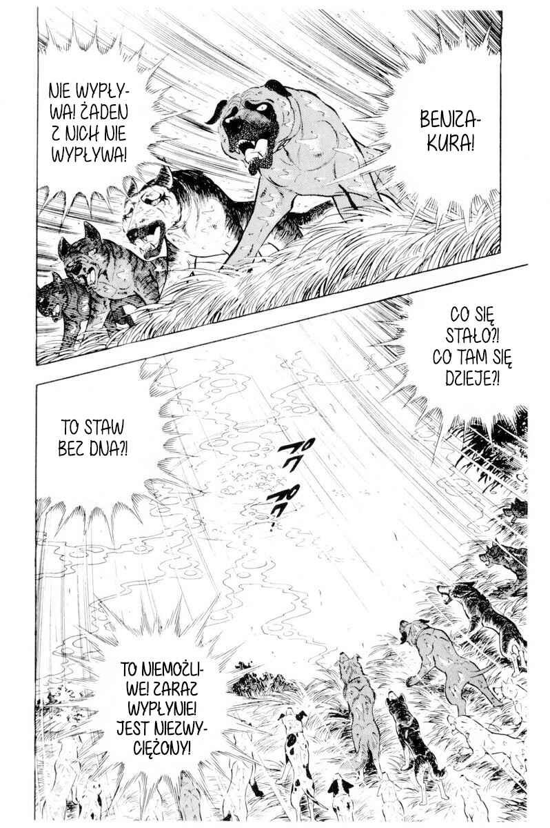 Silver Fang – The Shooting Star Gin – Chapter 39 - Page 40