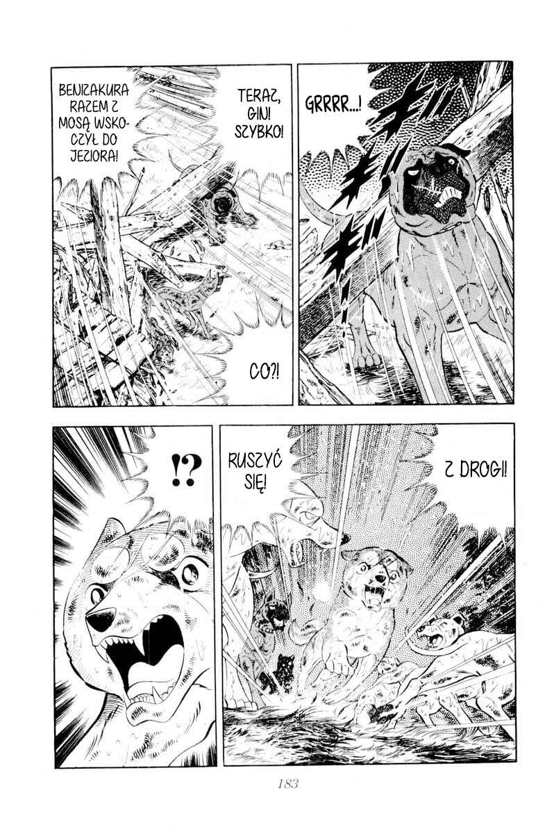 Silver Fang – The Shooting Star Gin – Chapter 39 - Page 41