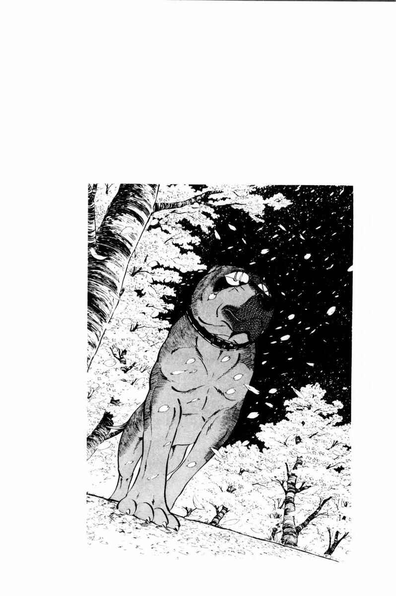 Silver Fang – The Shooting Star Gin – Chapter 39 - Page 56