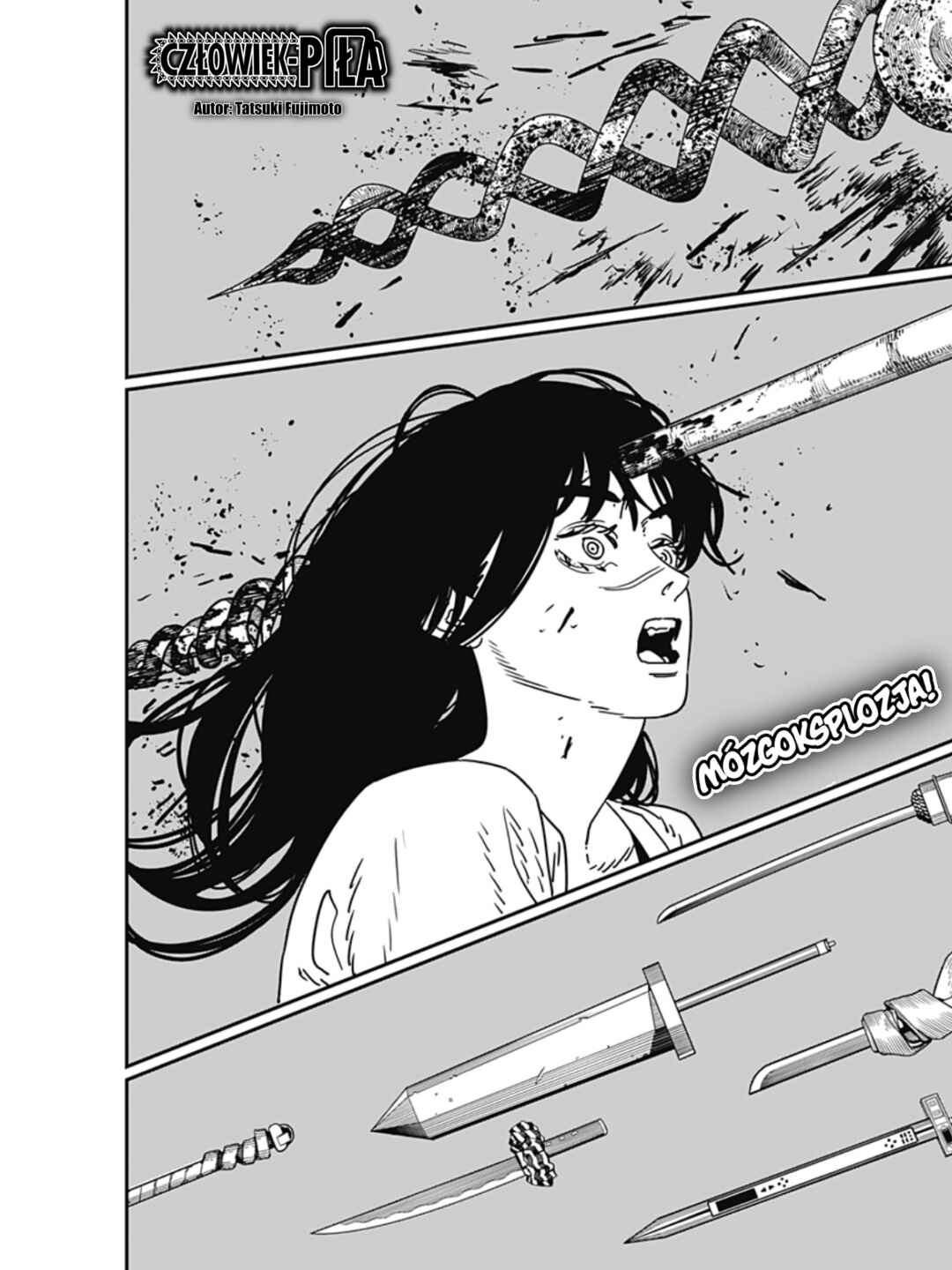 Chainsaw Man Chapter 209 - Page 2