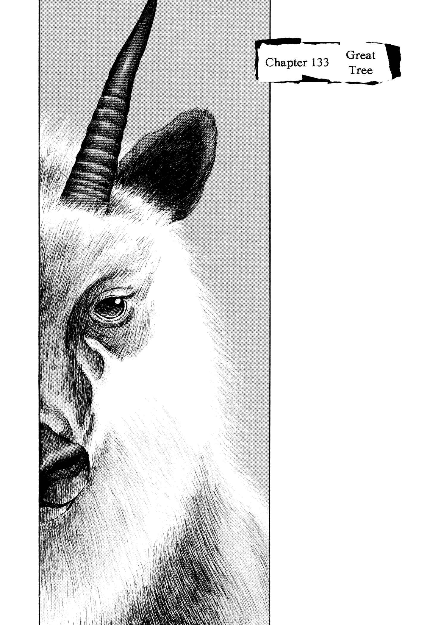 Shamo Chapter 133 - Page 1
