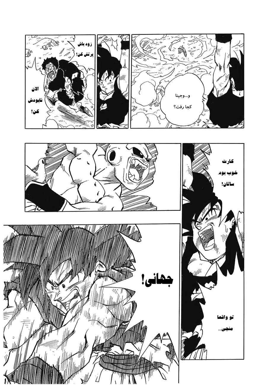 Dragon Ball Chapter 516 - Page 4
