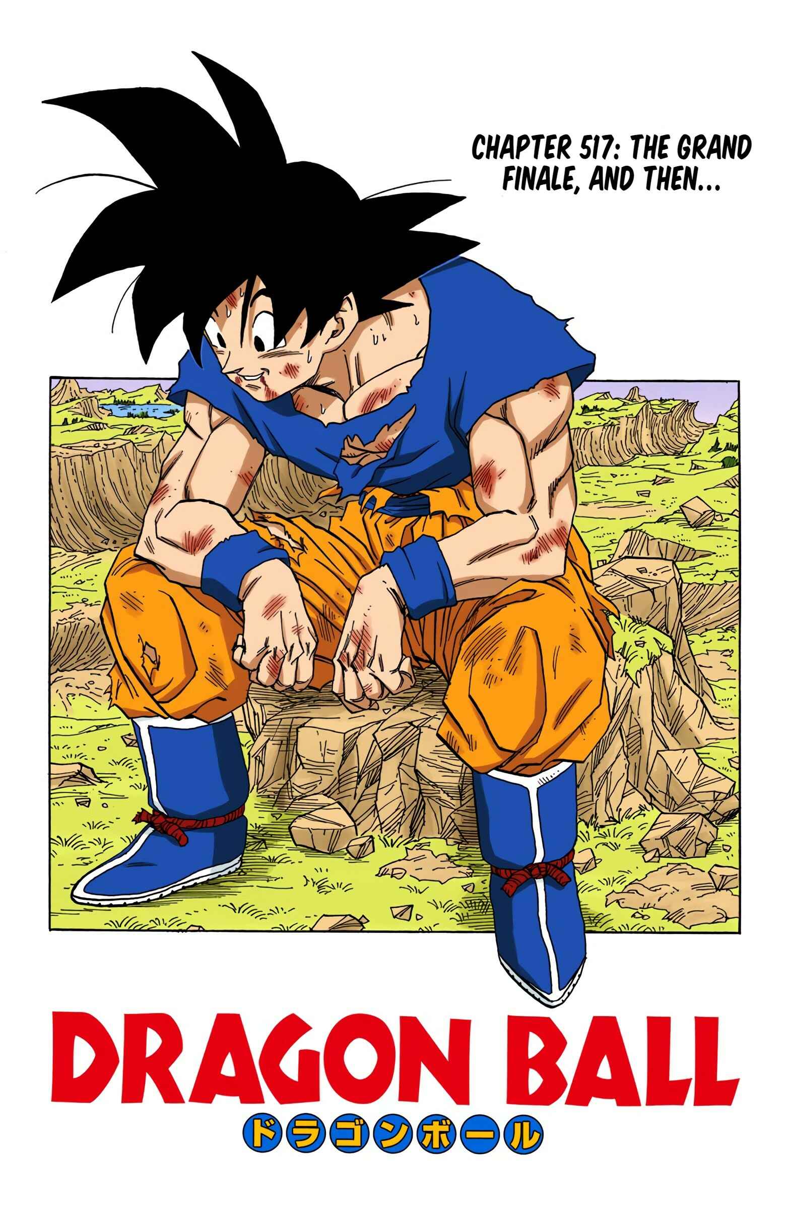 Dragon Ball (Official Colored) Chapter 517 - Page 1