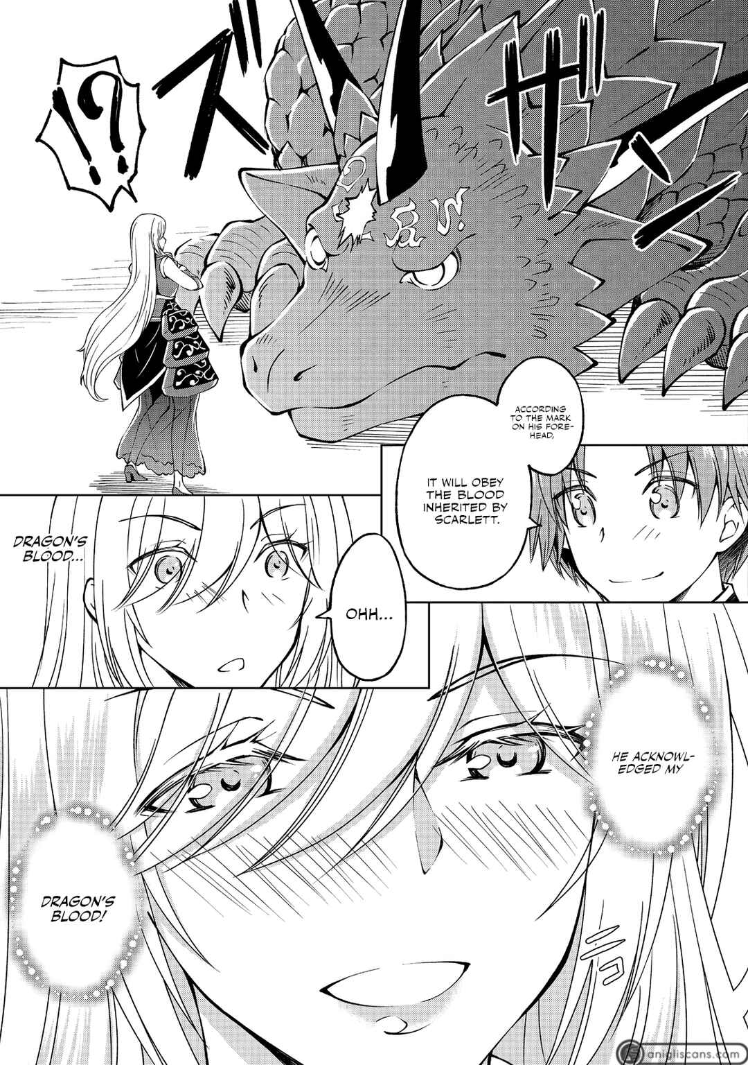 Motsuraku Yotei no Kizoku Dakedo, Hima Datta kara Mahou o Kiwamete Mita @Comic Chapter 12 - Page 10