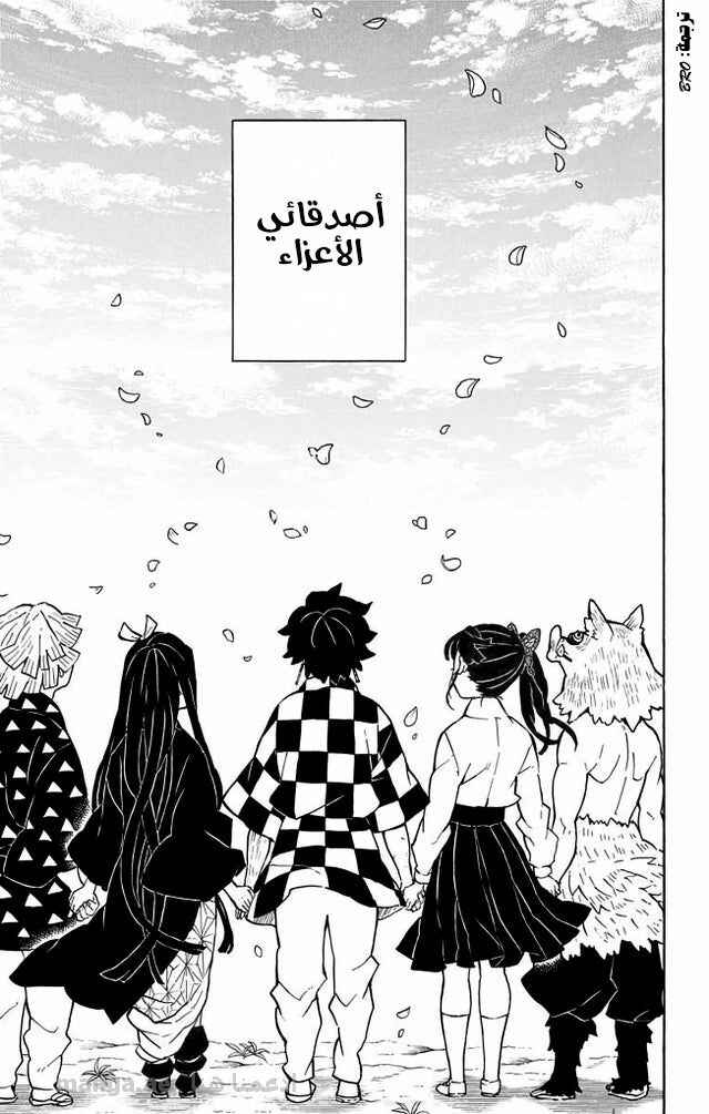 Demon Slayer: Kimetsu no Yaiba Chapter 205.2 - Page 10