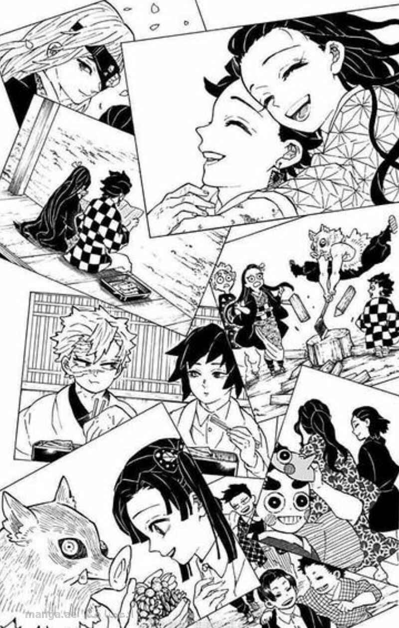 Demon Slayer: Kimetsu no Yaiba Chapter 205.2 - Page 8
