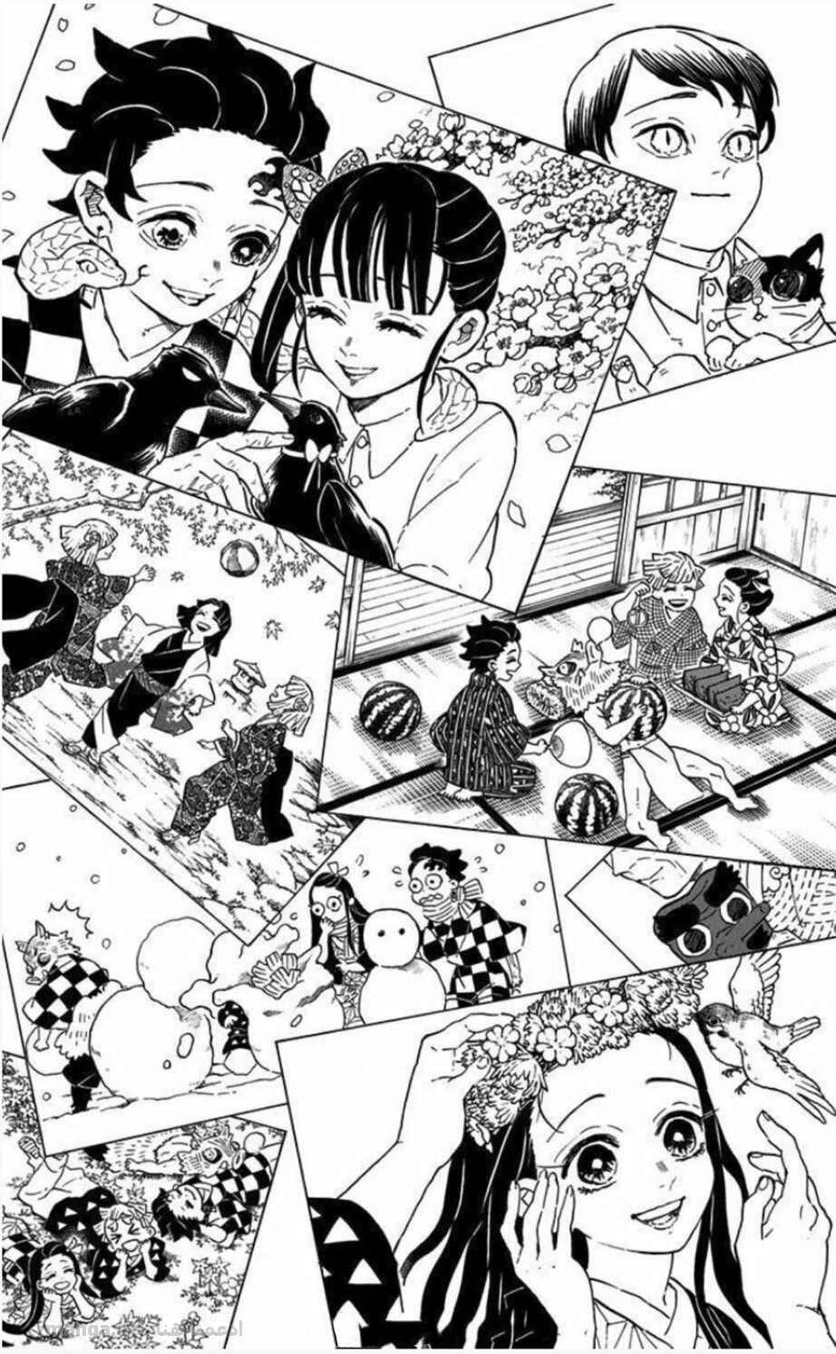 Demon Slayer: Kimetsu no Yaiba Chapter 205.2 - Page 9