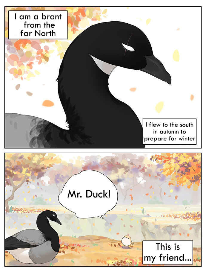 Southern Bird and Northern Bird Chapter 37 - Page 1