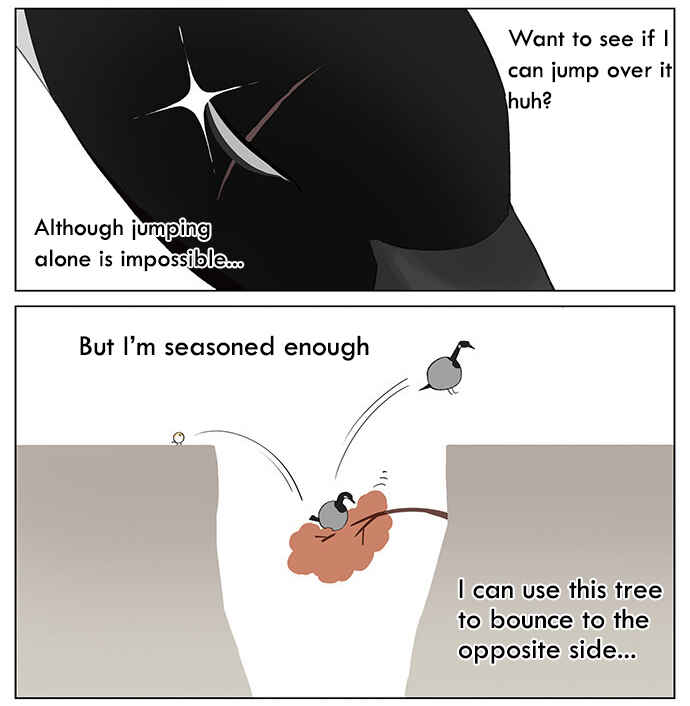 Southern Bird and Northern Bird Chapter 37 - Page 4