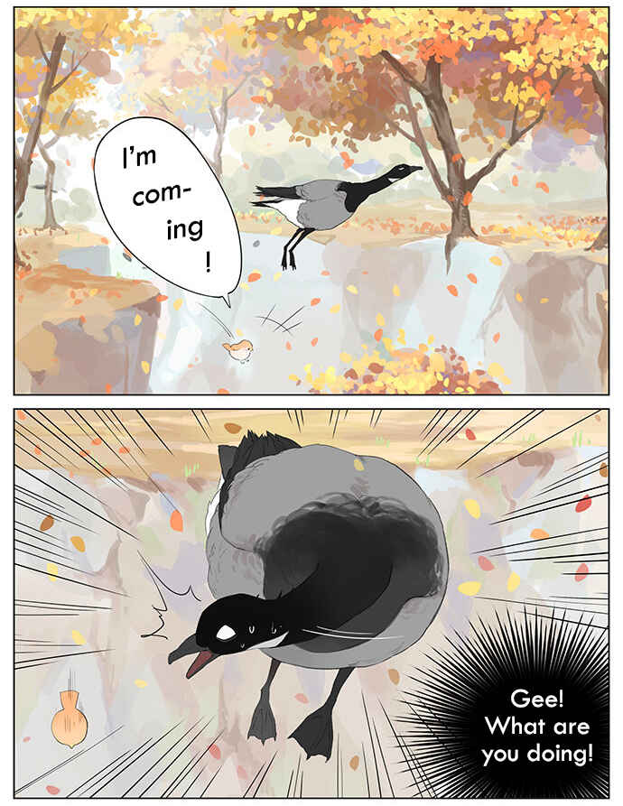 Southern Bird and Northern Bird Chapter 37 - Page 5